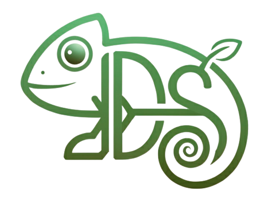 IDS